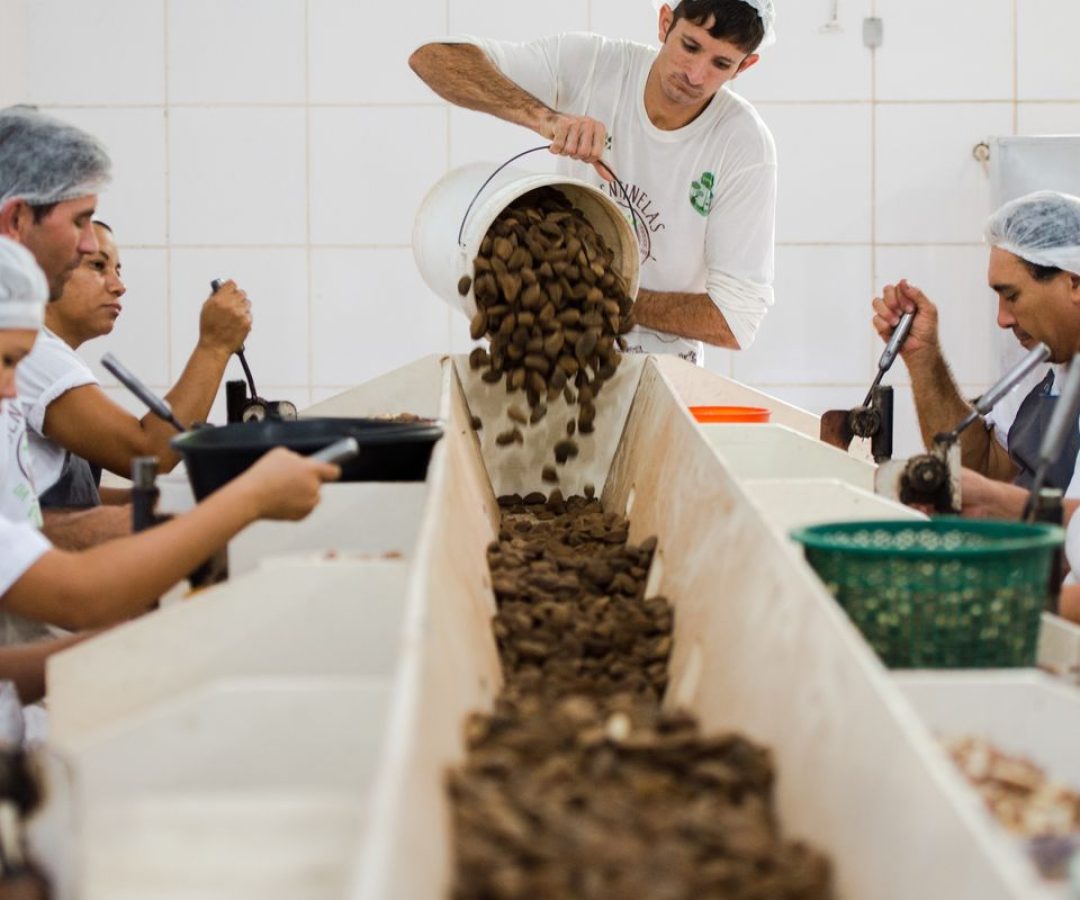 Consulta sobre bens sustentáveis no acordo Mercosul–UE acaba na quarta