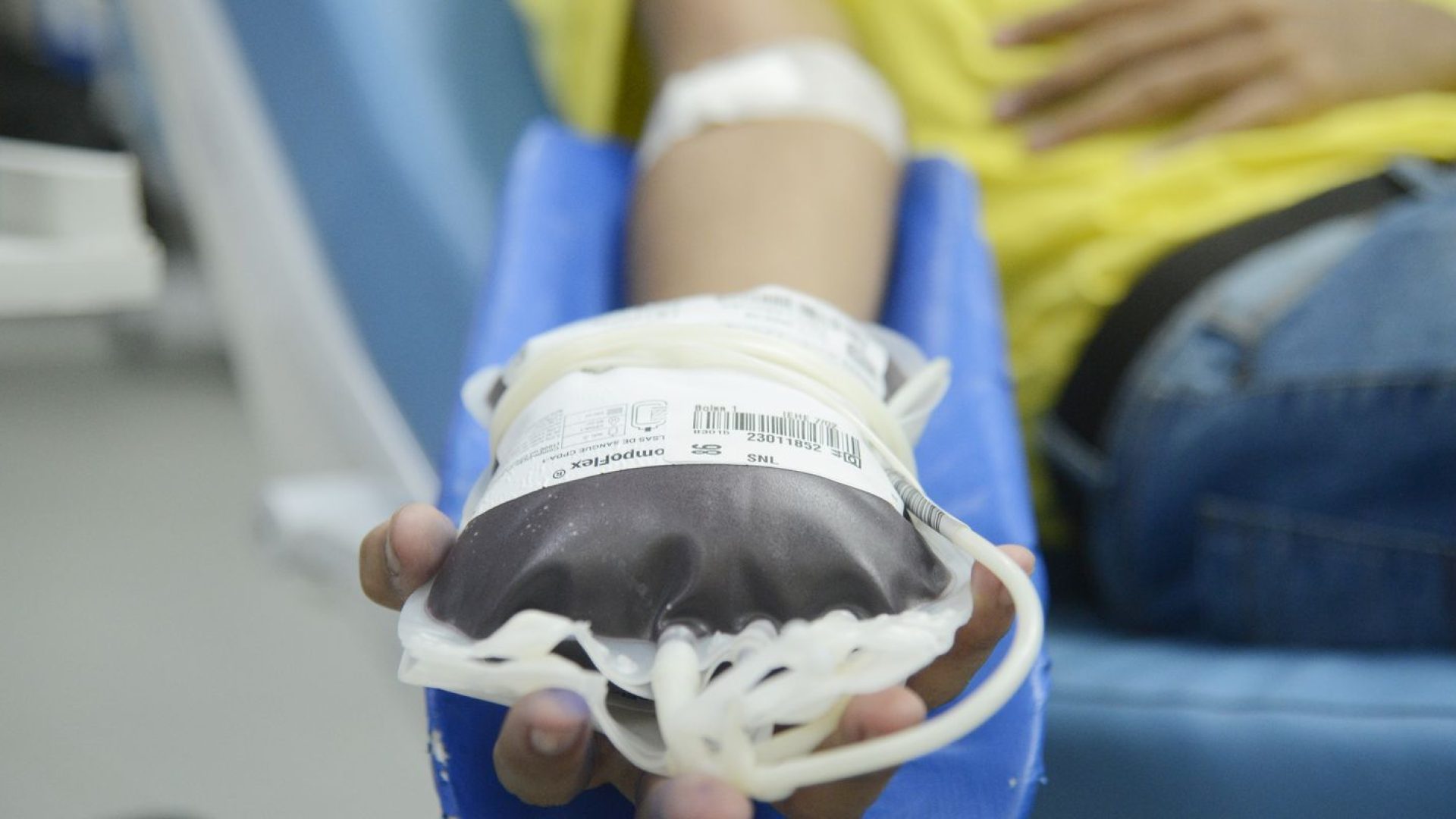Doação de sangue: espera para quem fez tatuagem e piercing será menor