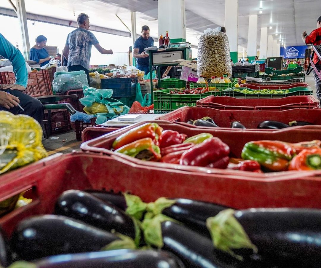 Campanha busca engajamento para reduzir desperdício de alimento