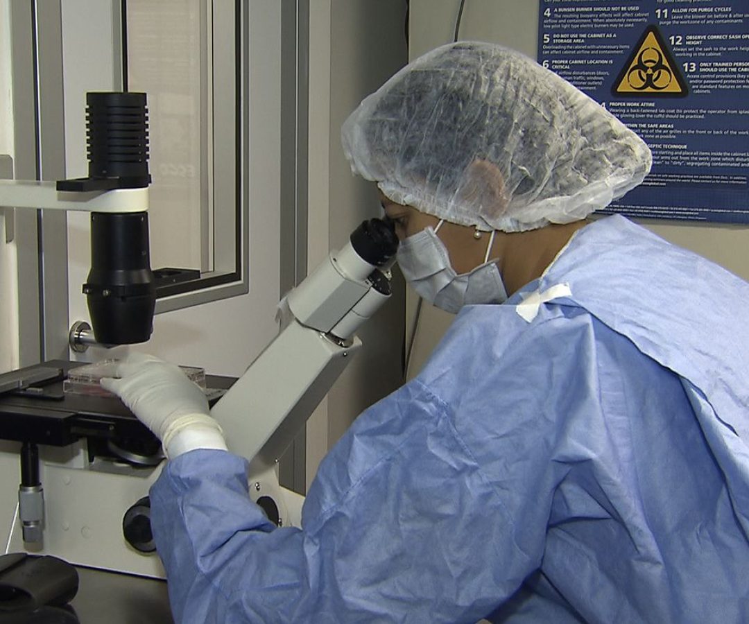 Como cientistas "curaram" pacientes infectados com HIV